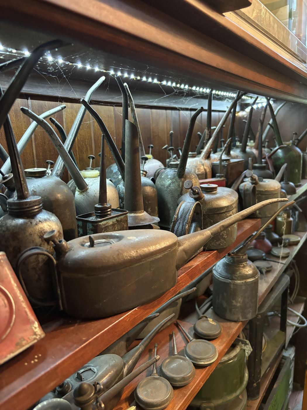 Oil cans and oilers with long spouts on timber shelves